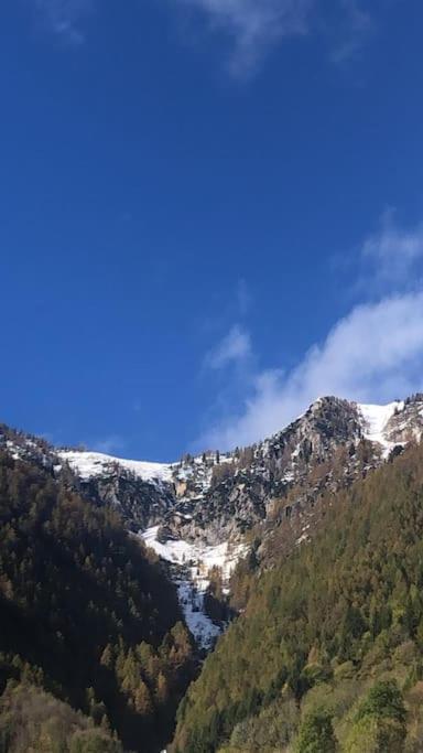 Il Sole Di Ester Branzi Εξωτερικό φωτογραφία